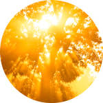 metadata_enteringgodhood_r