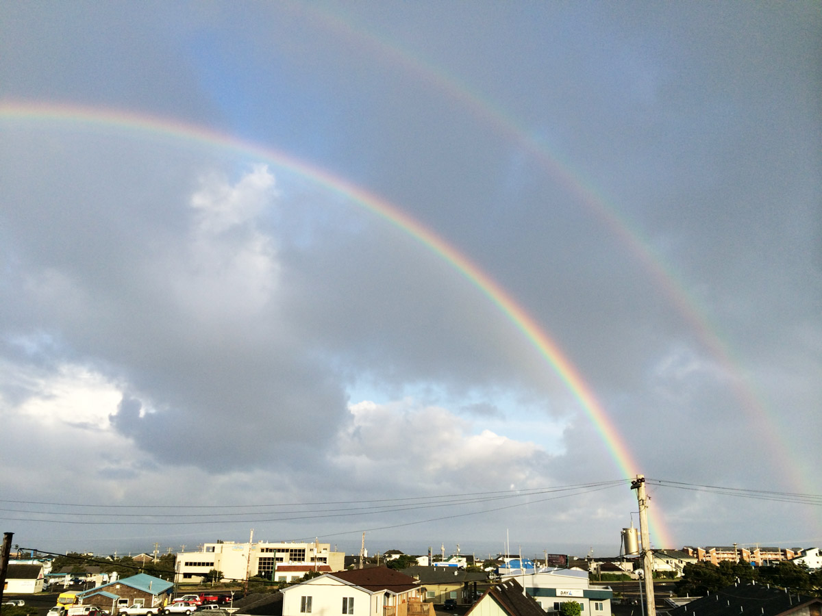 newport-rainbows