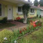 Yellow house_Web