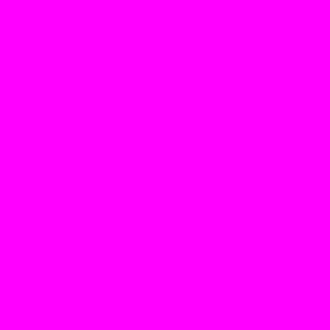 Fuchsia-Web2