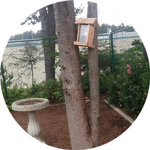Almine's Bird Feeder
