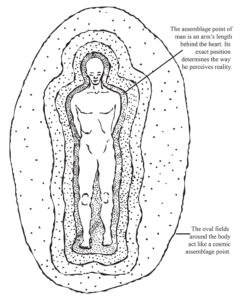 Diagram of the Assemblage Point