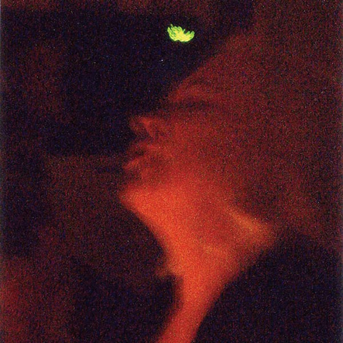 Green Fairy Photo Close-Up