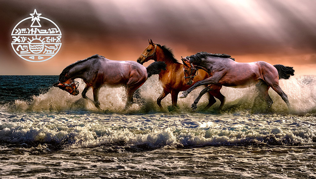 Horses in ocean tide